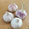泽霖蒜业的一亩田店铺