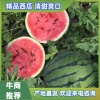 恒达果蔬代购的一亩田店铺