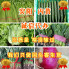 杜志凯的一亩田店铺