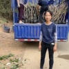 覃旺珍的一亩田店铺