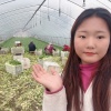 宋伟华的一亩田店铺
