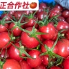何泽民的一亩田店铺