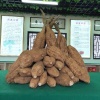 卢福浩的一亩田店铺