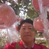 吴红英的一亩田店铺