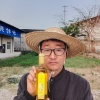 梁河县古韵南甸山茶油的一亩田店铺