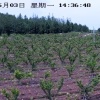 康建权的一亩田店铺