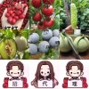 冰鸟电子商务有限公司的一亩田店铺