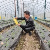 杨林寨农特产品合作社的一亩田店铺