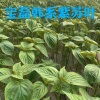 顺鑫源种植基地的一亩田店铺