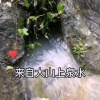 仙龙生态种养专业合作社的一亩田店铺