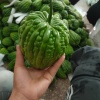 李记蔬菜批发的一亩田店铺