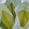 南方水果合作社的一亩田店铺
