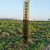 眉山市百果林水果合作社的一亩田店铺