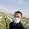 诚盛蔬菜的一亩田店铺
