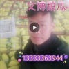 玟勃商贸的一亩田店铺