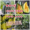 国忠果蔬的一亩田店铺