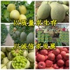 李传华果蔬购销的一亩田店铺