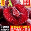 果然鲜水果配送中心的一亩田店铺