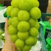 坤政农业的一亩田店铺