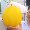 王宝全的一亩田店铺