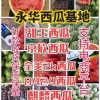 山东永华小糖丸西瓜一手货的一亩田店铺