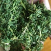 花月霞的一亩田店铺