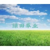 韩朋飞的一亩田店铺