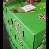 游客8718的一亩田店铺