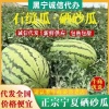 小黑果蔬代销代发的一亩田店铺