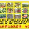 龙田功杰果园的一亩田店铺