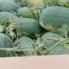 孟州精品水果蔬菜批发的一亩田店铺