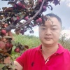 创兴果蔬供应链的一亩田店铺