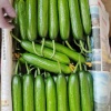 山东山河农副产品有限公司的一亩田店铺