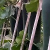 阜阳颍东优品的一亩田店铺