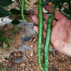 六九蔬菜种植合作社的一亩田店铺