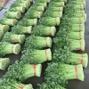 魏弘的一亩田店铺