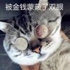 湖南名博农业科技有限公司的一亩田店铺