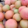 刘延甲的一亩田店铺