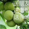 孙裕林的一亩田店铺