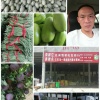 袁建永瓜果蔬批发的一亩田店铺