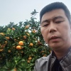 嘉信果蔬代办的一亩田店铺