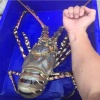 沈明福的一亩田店铺