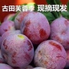 浩然瀚海网络有限公司的一亩田店铺