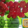 周光斌的一亩田店铺