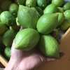 张方伟的一亩田店铺