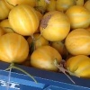 项羽果蔬合作社的一亩田店铺