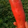 根力多生物科技股份有限公司的一亩田店铺