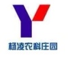 马元超的一亩田店铺
