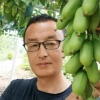 东港市新城区由老板农产品工作室的一亩田店铺