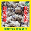 川金大蒜购销部的一亩田店铺